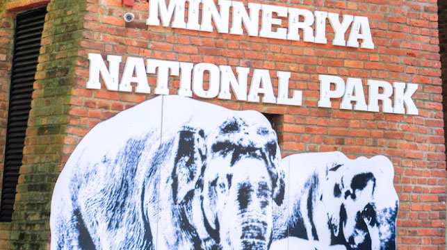 Minneriya National Park