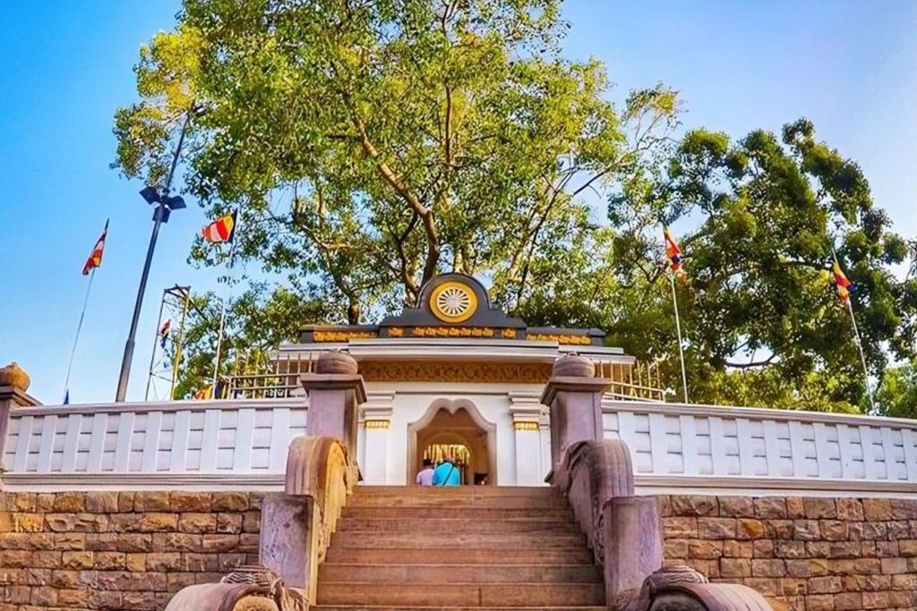 Jayasri Maha Bodhi Tree Anuradhapura Sri Lanka