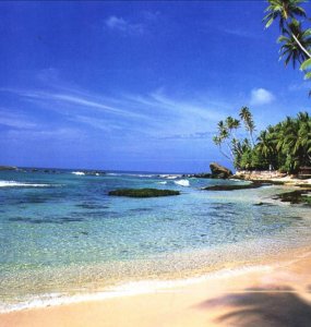 Special Beach Tours 
